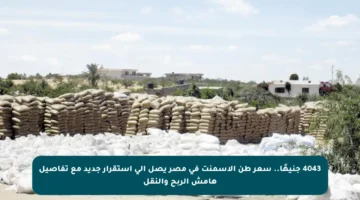4043 جنيهًا.. سعر طن الأسمنت في مصر يصل إلى استقرار جديد مع تفاصيل هامش الربح والنقل